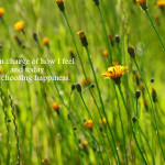 happiness-quote