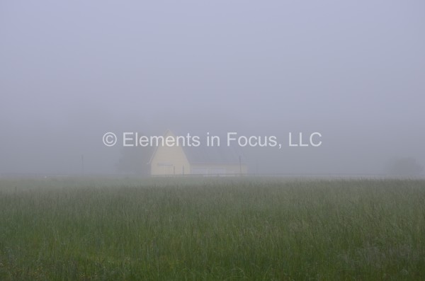 foggy-morning-1