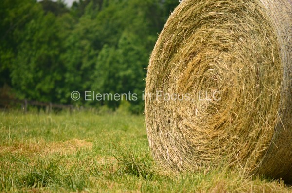 hay-bale-close-up