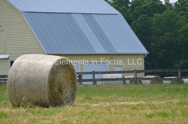 hay-its-a-yellow-barn