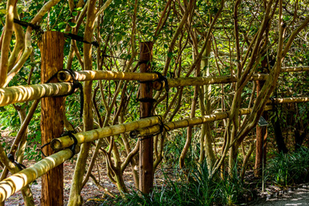 Along the path