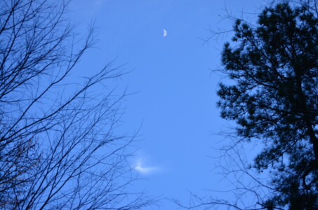 blue-moon