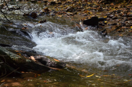 mountain-stream