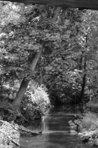 standing-strong-bw