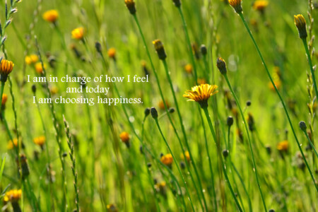 happiness-quote