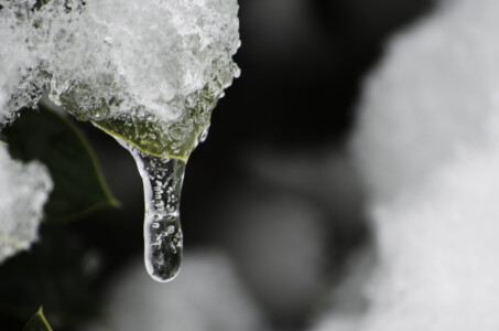 frozen-in-time