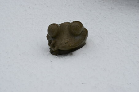 i-think-it-snowed