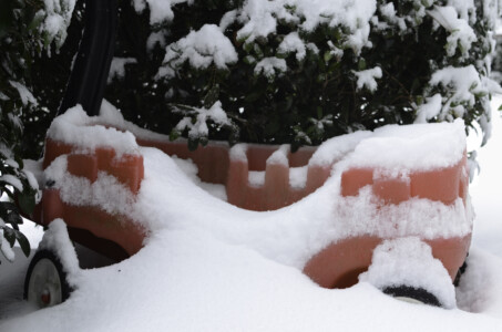 snowed-in
