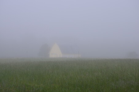 foggy-morning-1