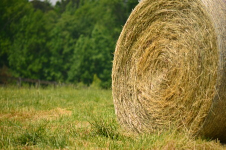 hay-bale-close-up