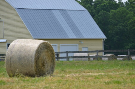 hay-its-a-yellow-barn