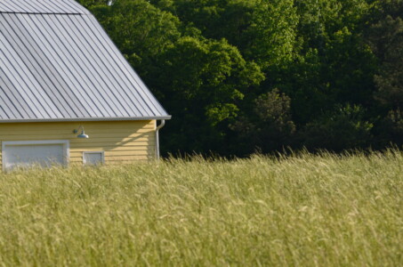 hiding-in-the-field