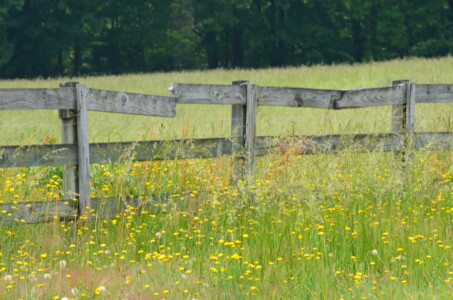 mending-fences
