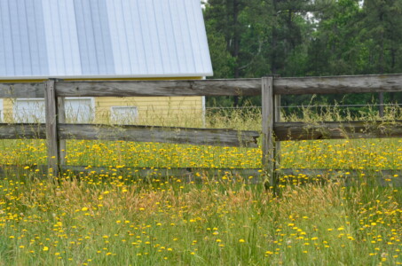 my-favorite-barn